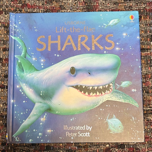 Usborne Lift-the-Flap Learning Book Collection - Picture 6 of 6